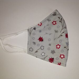 Pikapolonice in rožice na sivi